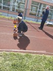 Šedesátky Hlinsko