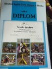 Krajské kolo DOROSTU v Žamberku