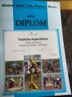 Krajské kolo DOROSTU v Žamberku